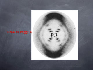 DNA ai raggi X 