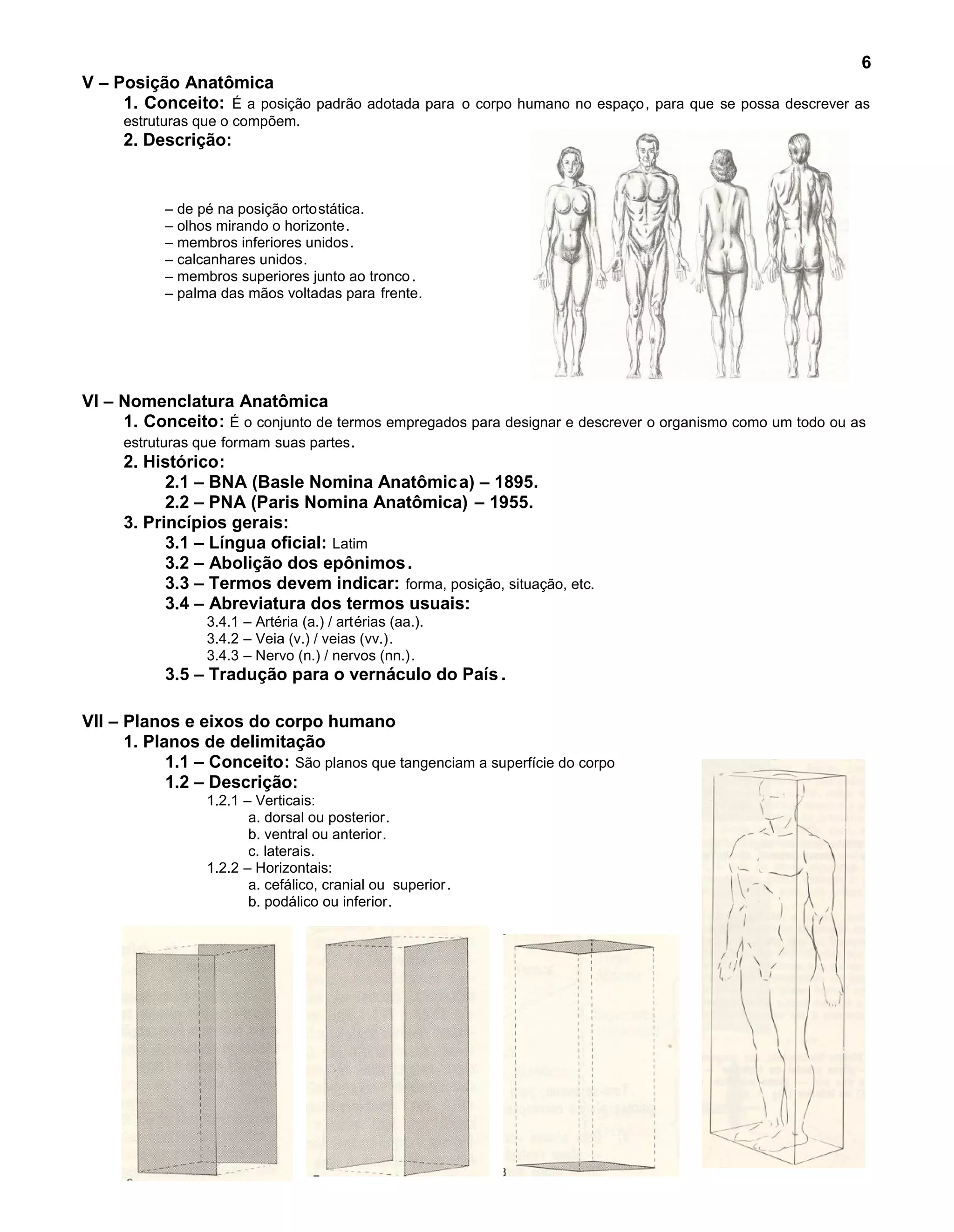 Introdução ao Estudo da Anatomia Humana | PDF
