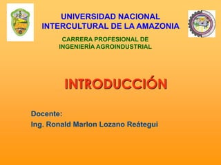 INTRODUCCIÓN
Docente:
Ing. Ronald Marlon Lozano Reátegui
UNIVERSIDAD NACIONAL
INTERCULTURAL DE LA AMAZONIA
CARRERA PROFESIONAL DE
INGENIERÍA AGROINDUSTRIAL
 