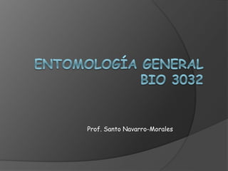 Prof. Santo Navarro-Morales
 