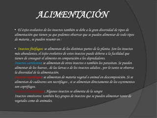 ALIMENTACIÓN
• El éxito evolutivo de los insectos también se debe a la gran diversidad de tipos de
alimentación que tienen ya que podemos observar que se pueden alimentar de todo tipos
de materia , se pueden resumir en :
• Insectos fitófagos: se alimentan de los distintas partes de la planta. Son los insectos
más abundantes, el éxito evolutivo de estos insectos puede deberse a la facilidad que
tienen de conseguir el alimento en comparación a los depredadores.
Insectos carnívoros: se alimentan de otros insectos o también los parasitan. Se pueden
alimentar de los huevos , de las larvas o de los insectos adultos , por lo tanto se observa
la diversidad de la alimentación.
Insectos saprófagos: se alimentan de materia vegetal o animal en descomposición. Si se
alimentan de cadáveres son necrófagos , si se alimentan directamente de los excrementos
son coprófagos.
Insectos hematófagos: Algunos insectos se alimenta de la sangre
Insectos omnívoros: también hay grupos de insectos que se pueden alimentar tanto de
vegetales como de animales.
 