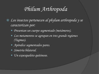 Philum Arthropoda
 Los insectos pertenecen al phylum arthropoda y se
caracterizan por:
 Presentan un cuerpo segmentado (metámeros).
 Los metamenros se agrupan en tres grande regiones
(Tagmas).
 Apéndice segmentados pares.
 Simetría bilateral.
 Un exoesqueleto quitinoso.
 