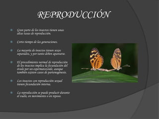REPRODUCCIÓN
 Gran parte de los insectos tienen unas
altas tasas de reproducción.
 Corto tiempo de las generaciones.
 La mayoría de insectos tienen sexos
separados, y por tanto deben aparearse.
 El procedimiento normal de reproducción
de los insectos implica la fecundación del
óvulo por un espermatozoide, aunque
también existen casos de partenogénesis.
 Los insectos con reproducción sexual
tienen fecundación interna.
 La reproducción se puede producir durante
el vuelo, en movimiento o en reposo.
 