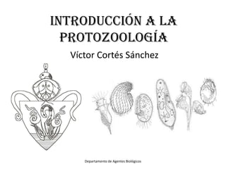 Introducción a la
  protozoología
  Víctor Cortés Sánchez




     Departamento de Agentes Biológicos
 