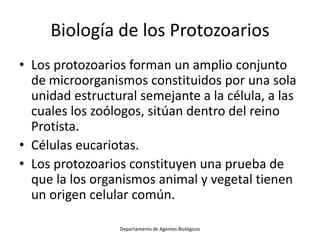 Biología de los Protozoarios
• Los protozoarios forman un amplio conjunto
  de microorganismos constituidos por una sola
 ...