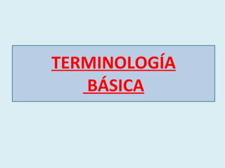 TERMINOLOGÍA  BÁSICA 