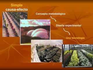 Simple
causa-efecto
Concepto metodológico
Diseño experimental
Una tecnología
 