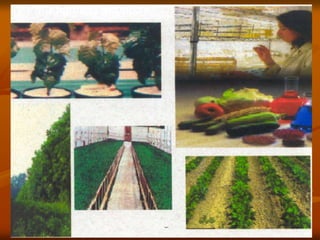 Paradigma Científico
 