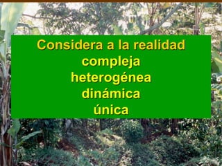Considera a la realidad
compleja
heterogénea
dinámica
única
 