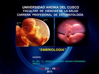 UNIVERSIDAD ANDINA DEL CUSCO
FACULTAD DE CIENCIAS DE LA SALUD
CARRERA PROFESIONAL DE ESTOMATOLOGÍA
“EMBRIOLOGIA”
DOCENTE:
Dr. MG. CD. JESÚS ALEJANDRO ARENAS FERNÁNDEZ
DÁVILA
CUSCO – PERÚ
2013
 