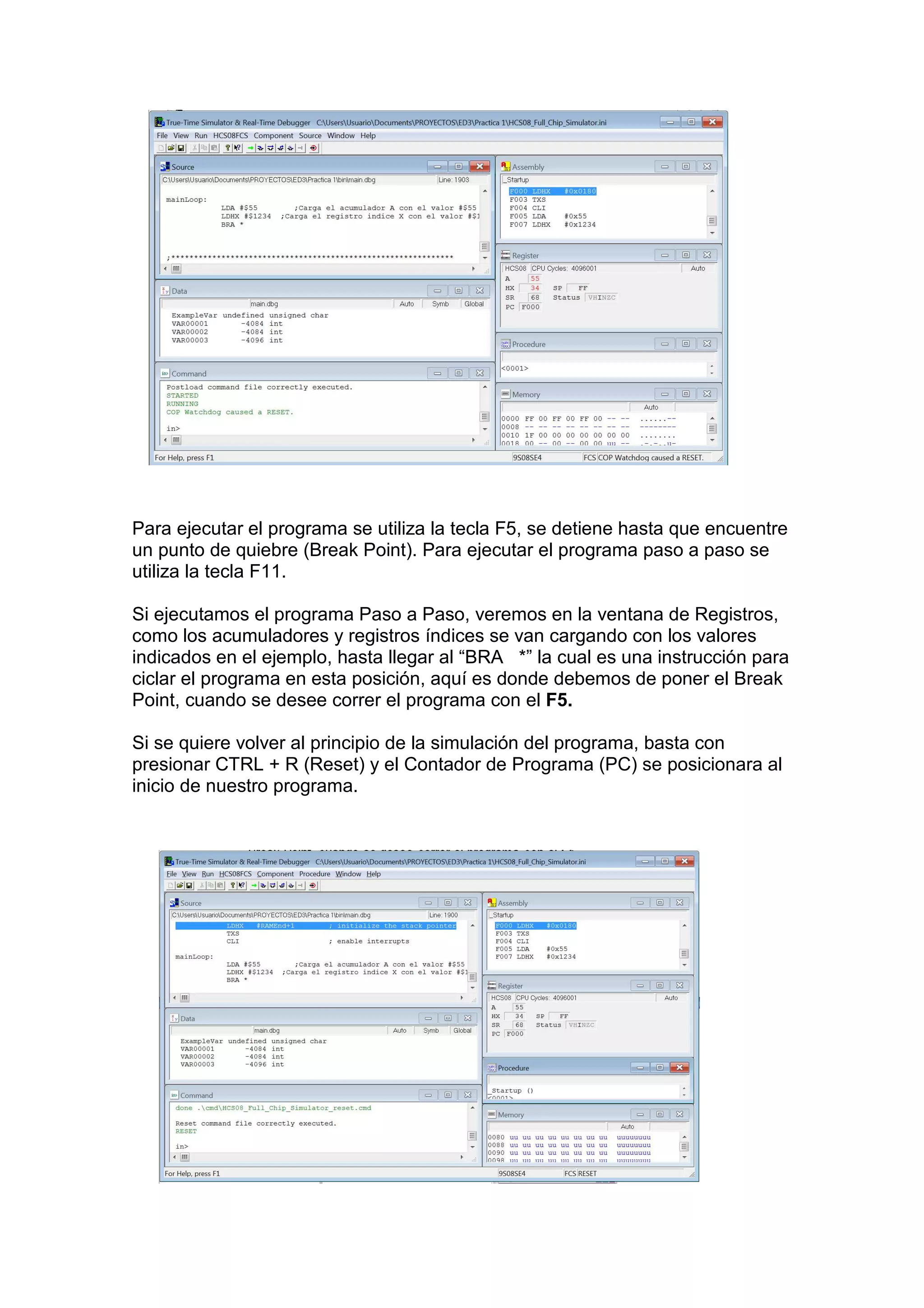 Para ejecutar el programa se utiliza la tecla F5, se detiene hasta que encuentre
un punto de quiebre (Break Point). Para ejecutar el programa paso a paso se
utiliza la tecla F11.

Si ejecutamos el programa Paso a Paso, veremos en la ventana de Registros,
como los acumuladores y registros índices se van cargando con los valores
indicados en el ejemplo, hasta llegar al “BRA *” la cual es una instrucción para
ciclar el programa en esta posición, aquí es donde debemos de poner el Break
Point, cuando se desee correr el programa con el F5.

Si se quiere volver al principio de la simulación del programa, basta con
presionar CTRL + R (Reset) y el Contador de Programa (PC) se posicionara al
inicio de nuestro programa.
 