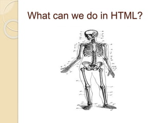 What can we do in HTML?
 