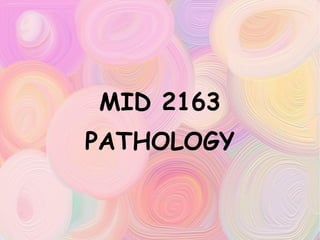 MID 2163 PATHOLOGY 