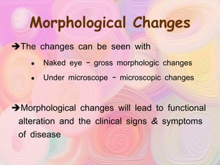 Morphological Changes The changes can be seen with Naked eye – gross morphologic changes Under microscope – microscopic changes Morphological changes will lead to functional alteration and the clinical signs & symptoms of disease 