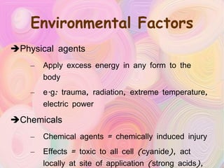 Environmental Factors Physical agents Apply excess energy in any form to the body e.g: trauma, radiation, extreme temperature, electric power Chemicals Chemical agents = chemically induced injury Effects = toxic to all cell (cyanide), act locally at site of application (strong acids), toxic to certain organ esp liver & kidney 