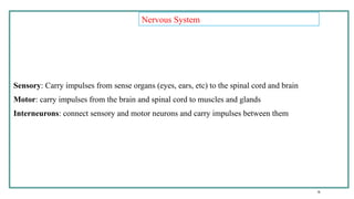 Stemc 1-introduction stem cell stem cell stemc | PPTX