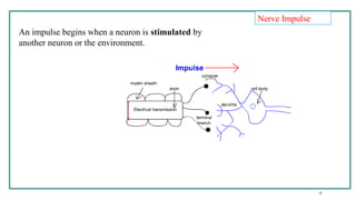 Stemc 1-introduction stem cell stem cell stemc | PPTX
