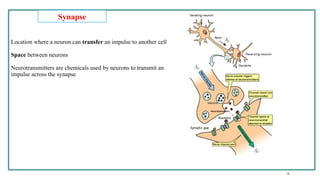 Stemc 1-introduction stem cell stem cell stemc | PPTX