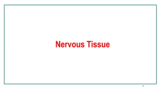 Stemc 1-introduction stem cell stem cell stemc | PPTX
