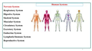 Stemc 1-introduction stem cell stem cell stemc | PPTX