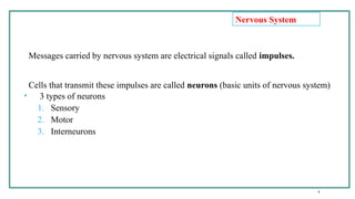 Stemc 1-introduction stem cell stem cell stemc | PPTX