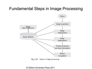 © Oxford University Press 2011
Fundamental Steps in Image Processing
 