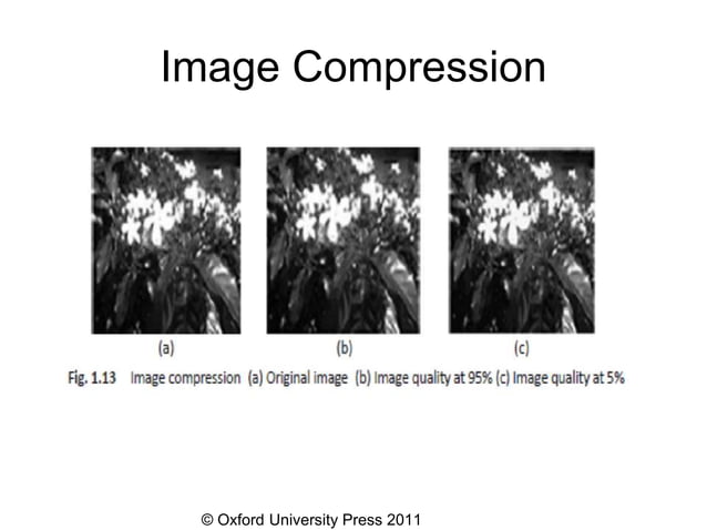 1-introduction-image-processing_Chapter1-Digital_Image_Processing.pptx