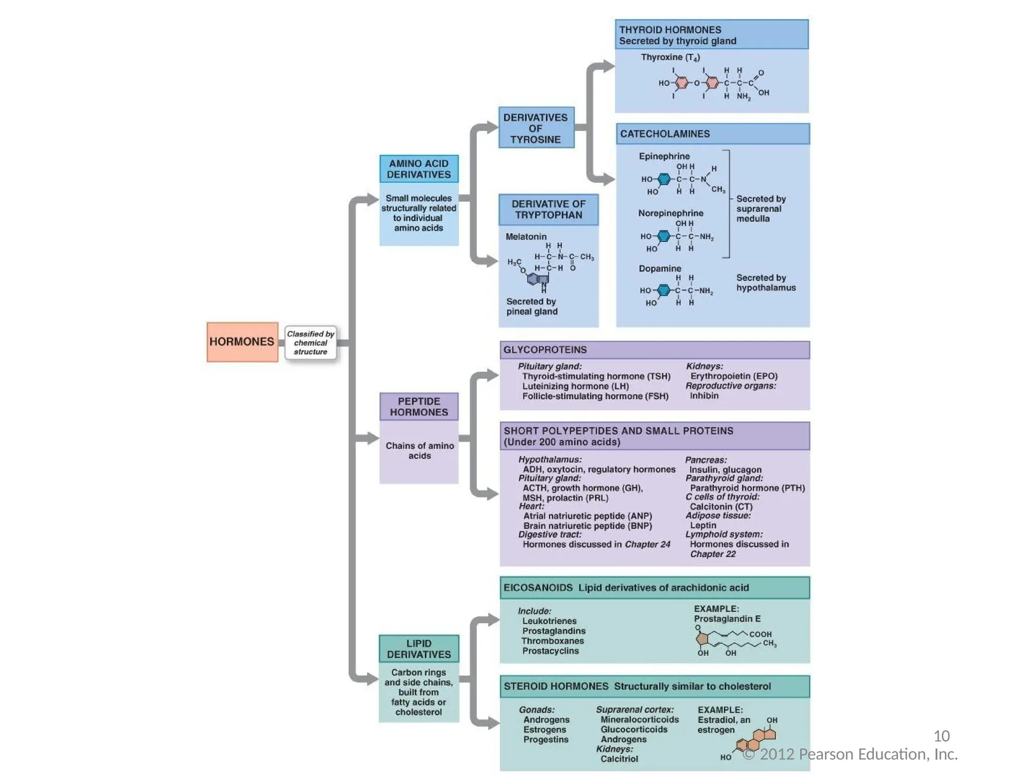 10
© 2012 Pearson Education, Inc.
 