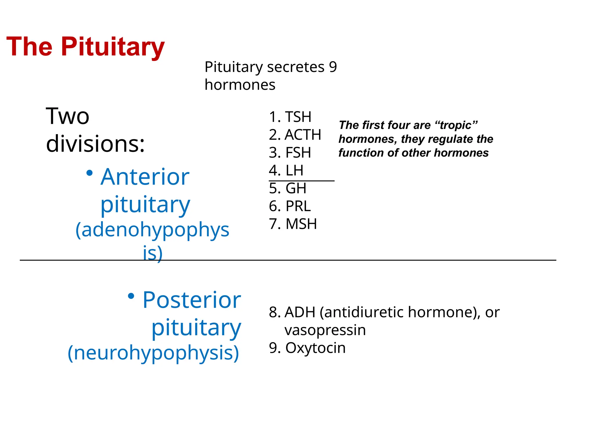 Two
divisions:
• Anterior
pituitary
(adenohypophys
is)
• Posterior
pituitary
(neurohypophysis)
Pituitary secretes 9
hormones
The Pituitary
1. TSH
2. ACTH
3. FSH
4. LH
5. GH
6. PRL
7. MSH
8. ADH (antidiuretic hormone), or
vasopressin
9. Oxytocin
The first four are “tropic”
hormones, they regulate the
function of other hormones
 