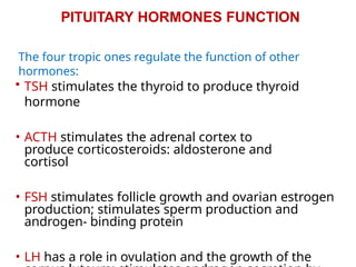 PITUITARY HORMONES FUNCTION
The four tropic ones regulate the function of other
hormones:
• TSH stimulates the thyroid to produce thyroid
hormone
• ACTH stimulates the adrenal cortex to
produce corticosteroids: aldosterone and
cortisol
• FSH stimulates follicle growth and ovarian estrogen
production; stimulates sperm production and
androgen- binding protein
• LH has a role in ovulation and the growth of the
 