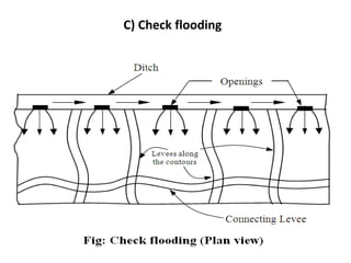 C) Check flooding
 