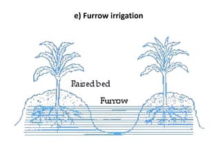 e) Furrow irrigation
 