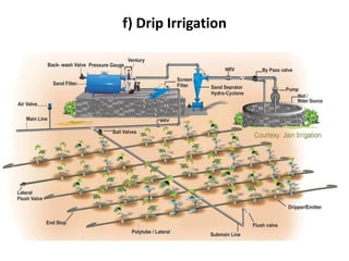f) Drip Irrigation
 