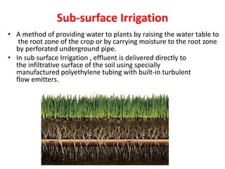 Sub-surface Irrigation
• A method of providing water to plants by raising the water table to
the root zone of the crop or by carrying moisture to the root zone
by perforated underground pipe.
• In sub surface Irrigation , effluent is delivered directly to
the infiltrative surface of the soil using specially
manufactured polyethylene tubing with built-in turbulent
flow emitters.
 