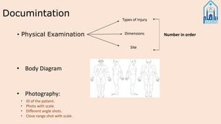 Documintation
• Physical Examination
Types of Injury
Dimensions
Site
Number in order
• Body Diagram
• Photography:
• ID of the patient.
• Photo with scale.
• Different angle shots.
• Close range shot with scale.
 