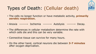 Types of Death: (Cellular death)
• The cells no longer function or have metabolic activity, primarily
aerobic respiration.
• Anoxia Ischemia Autolysis Decay.
• The differences in cellular metabolism determine the rate with
which cells die and this can be very variable.
• Connective tissue can survive for many hours.
• On the other hand, cortical neurons die between 3-7 minutes
after oxygen deprivation.
 