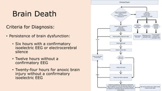 Brain Death
Criteria for Diagnosis:
• Persistence of brain dysfunction:
• Six hours with a confirmatory
isoelectric EEG or electrocerebral
silence
• Twelve hours without a
confirmatory EEG
• Twenty-four hours for anoxic brain
injury without a confirmatory
isoelectric EEG
 