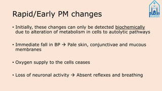 Rapid/Early PM changes
• Initially, these changes can only be detected biochemically
due to alteration of metabolism in cells to autolytic pathways
• Immediate fall in BP  Pale skin, conjunctivae and mucous
membranes
• Oxygen supply to the cells ceases
• Loss of neuronal activity  Absent reflexes and breathing
 
