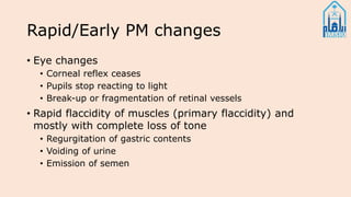 Rapid/Early PM changes
• Eye changes
• Corneal reflex ceases
• Pupils stop reacting to light
• Break-up or fragmentation of retinal vessels
• Rapid flaccidity of muscles (primary flaccidity) and
mostly with complete loss of tone
• Regurgitation of gastric contents
• Voiding of urine
• Emission of semen
 
