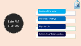 Late PM
changes
Cooling of the body
Hypostasis (lividity)
Rigor mortis
Putrefaction/Decomposition
 