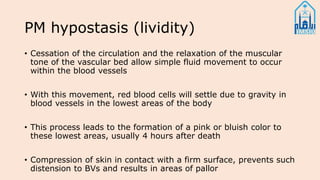 PM hypostasis (lividity)
• Cessation of the circulation and the relaxation of the muscular
tone of the vascular bed allow simple fluid movement to occur
within the blood vessels
• With this movement, red blood cells will settle due to gravity in
blood vessels in the lowest areas of the body
• This process leads to the formation of a pink or bluish color to
these lowest areas, usually 4 hours after death
• Compression of skin in contact with a firm surface, prevents such
distension to BVs and results in areas of pallor
 