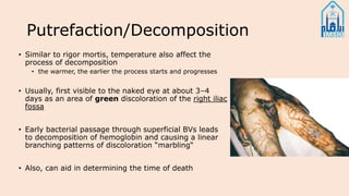 Putrefaction/Decomposition
• Similar to rigor mortis, temperature also affect the
process of decomposition
• the warmer, the earlier the process starts and progresses
• Usually, first visible to the naked eye at about 3–4
days as an area of green discoloration of the right iliac
fossa
• Early bacterial passage through superficial BVs leads
to decomposition of hemoglobin and causing a linear
branching patterns of discoloration “marbling“
• Also, can aid in determining the time of death
 