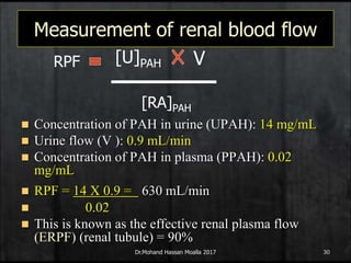 Increase Rph 1-Introduction renal system.ppt