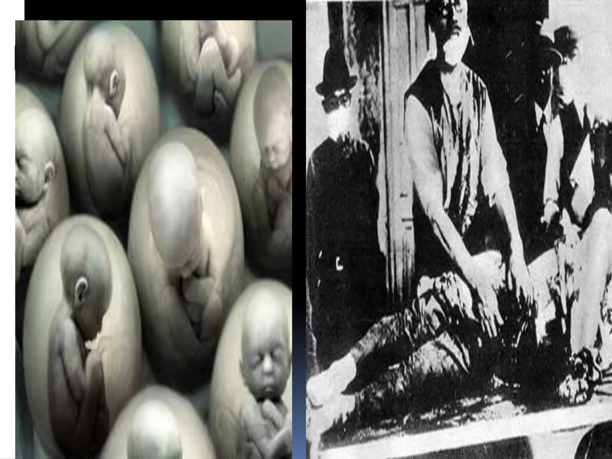 1.  introduction to bioethics