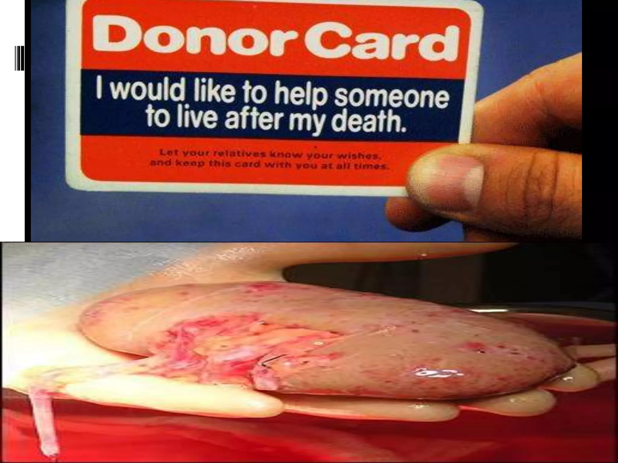 1. introduction to bioethics