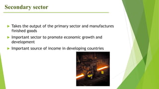Secondary sector
 Takes the output of the primary sector and manufactures
finished goods
 Important sector to promote economic growth and
development
 Important source of income in developing countries
 