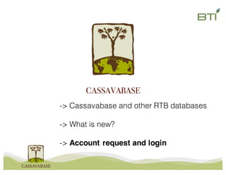 -> Cassavabase and other RTB databases
-> What is new?
-> Account request and login
CASSAVABASE
 