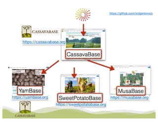 1  introduction to cassavabase 