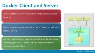 Docker - Walid Ashraf
Docker Client and Server
Docker contains a server or daemon, which, in
turn, does all the work.
Docker ships with a command line client, Docker,
as well as a full RESTful API.
You can run the Docker daemon and client on the
same host or connect your local Docker client to
a remote daemon running on another host.
 