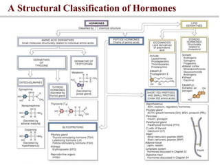 1-Introduction to Endcrine System Endocrine Disorder | PPT